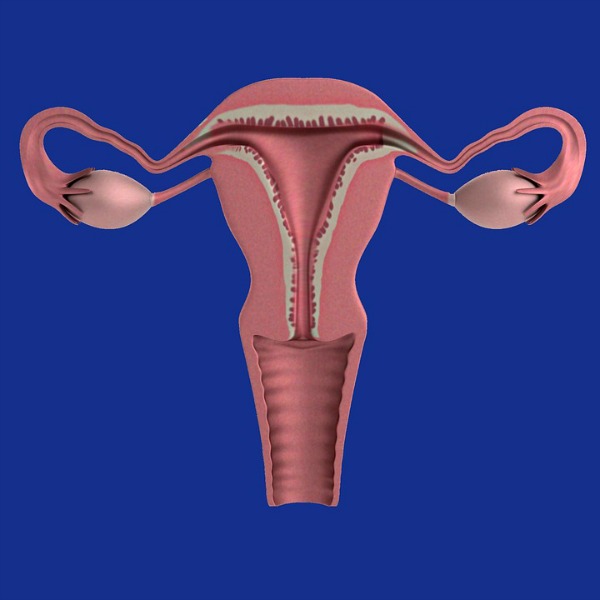 First Uterus Transplant Surgery In U S Could Make Pregnancy A Possibility For Many Ny