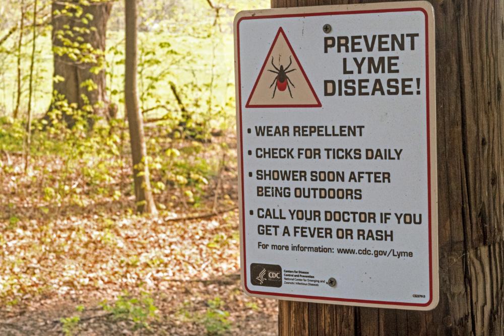 A Guide to Lyme Disease for Parents