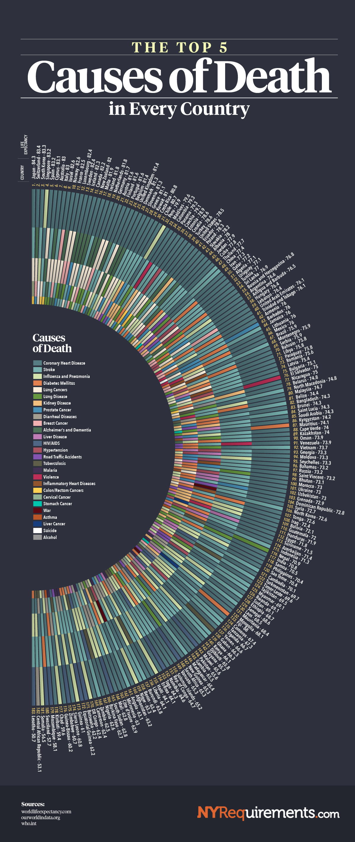 The Top 5 Causes of Death in Every Country